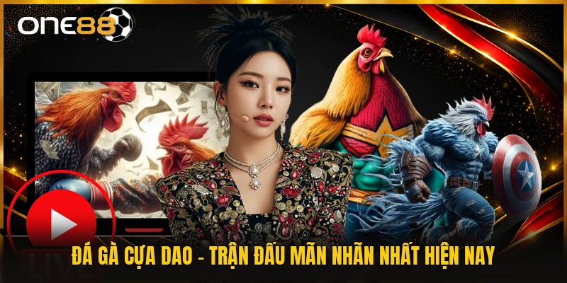 Đá Gà Cựa Dao - Trận Đấu Mãn Nhãn Nhất Hiện Nay