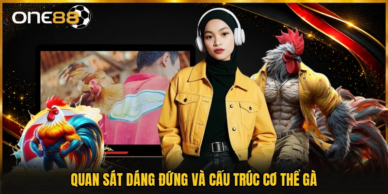 Quan sát dáng đứng và cấu trúc cơ thể gà